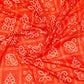 Red Bandhani Ghatchola Saree